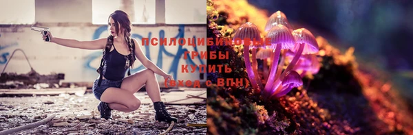 ECSTASY Корсаков