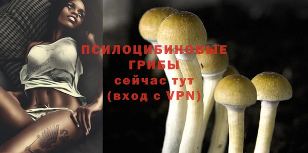 дурь Пенза