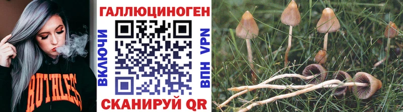 omg как зайти  Кемерово  сайты даркнета телеграм  Псилоцибиновые грибы ЛСД 