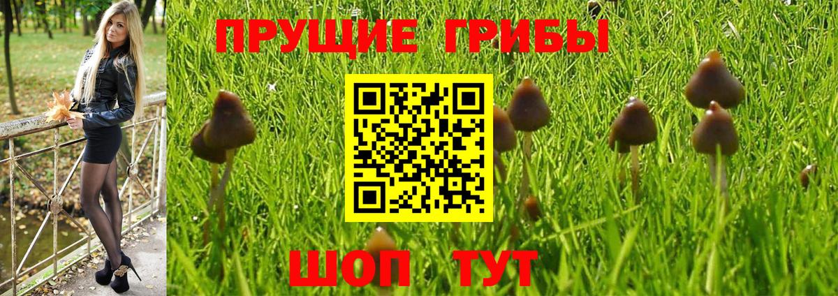 Псилоцибиновые грибы мухоморы  Кемерово 