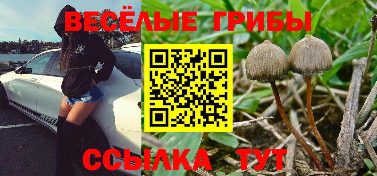 Канабис  Cocaine  МЕФ   Кемерово  Вход с VPN  ГАШИШ 
