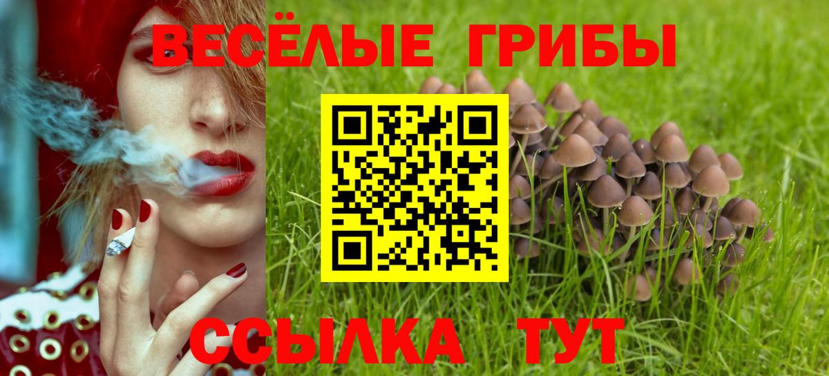 Кемерово  Галлюциногенные грибы мицелий  Вход с VPN  Галлюциногенные грибы Cubensis 